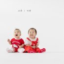 STUDIO HALLA·제주 하람스튜디오로 보는 제주 돌·백일·만삭 촬영 최신 소식