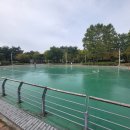 정왕동체육공원 인라인스케이트장