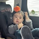 선흘초옥 이미지