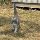 단풍슈퍼