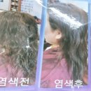 두피 안티에이징, 시작해 볼까 | 두피도 안티에이징이 필요해! 건강한 모발의 비밀