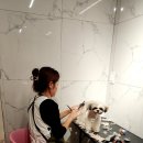 헤브.카페;헤브.펫(Heav.Pet)