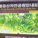 대구의 진산 팔공산(1,193m)을 다녀왔어요. 이미지