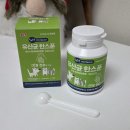 멈무는하루 | 강아지유산균 고양이유산균 고민된다면 [38.5] 펫유산균 유산균한스푼 급여후기