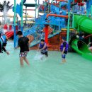 월드 합기도 이미지