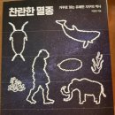 알프스2호태양광발전소 | 찬란한 멸종