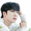 최수호 카카오 검색결과