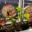 만나모듬식당 | 부안 아이랑 가기 좋은 곰소항맛집 곰소 자매식당 재방문 리얼 해후기