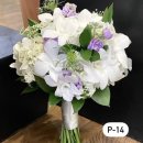 라메종블랑쉬