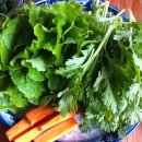 김성환농장 이미지