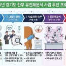 한우유전자원컨설팅 | 경기도, 한우 암소 1천200두 대상 유전체분석 지원…26일까지 농가 모집