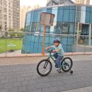 바이크PC | 어린이자전거 추천 초등학생자전거 사이즈 마이크로 바이크 20인치 후기