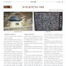정선이야기 네이버블로그