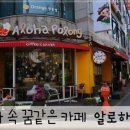 알로하포롱 이미지