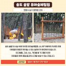 송도 솔밭 유아숲체험원 이미지