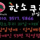 털보과일