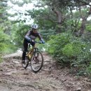 유왕골약수 이미지