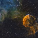 별보러가자 이미지