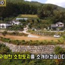 무릉도원면-43 네이버블로그