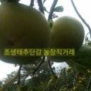 배감 이미지