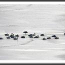 금호강변 이미지