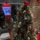 선기로2-9 | [구미/남통동] 브런치카페 맛집 소금빵 맛집 트리도 너무 이쁜 &#34;우이스띠띠&#34;