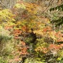 지리산약국 이미지