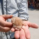 오태동물병원 이미지