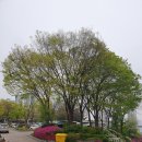 광명시민회관 다목적실 이미지