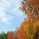 마곡하늬근린공원 | 마곡하늬근린공원