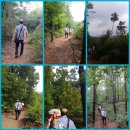 양지천 마평동 | [경기옛길 기자단] [제30보] 영남길 제5길(수여선옛길) 같이 걷기를 돌아보며