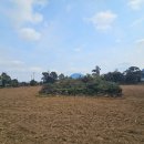 안성리-7 이미지