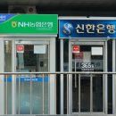 구진로 네이버블로그