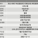 동조리젠시 이미지