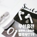 가성비좋은 HAYLOU 헬로우 T19 무선충전 블루투스이어폰