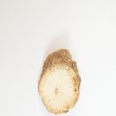 목통집