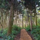 생각의 오름 이미지