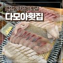 다모아횟집 | 부산 연산동 횟집 다모아횟집 내돈내산 솔직후기 칭구회포차 2호점