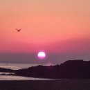 장사해수욕장(주차장 옆) 이미지