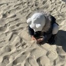 송도버스 주식회사 이미지