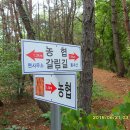 매전농업협동조합 티스토리