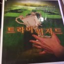 인계동방탈출 싸인이스케이프 트라이위저드, 자파 테마가 궁금하다면!