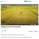 YTN 사이언스 특별기획(창사 40주년) 디지털 D.N.A 출연_드론직파와 연중 논농사_농작업 대행사업 이미지
