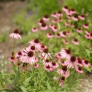 호숫가의 풍경 이미지