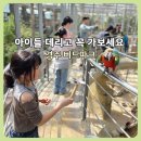 역지사지 역사속으로(대구·달서구 역사 포함) | 경주 버드파크 아이랑 가볼만한곳 후기｜할인 꿀팁·실내 먹이체험·동경이수레
