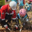 스토리펫 | 군견,경찰견,탐지견,119구조견의 행복한 견생2막지원 / 능동형인공지능협력체(에이전틱AI얼라이언스...