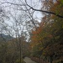 포천관광안내소 | 포천 가볼만한 곳, 가을이 물들어 가는 포천 산정호수, 포천한탄강하늘다리와 비둘기낭폭포