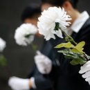 예단상조 네이버블로그