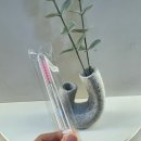 두 아이와 함께하는 바쁜 아침, 아이돌 뷰러펌으로 화장 시간 줄었어요 (feat. 범계속눈썹펌 온필스튜디오)
