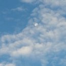 구름이 그린 달빛 이미지